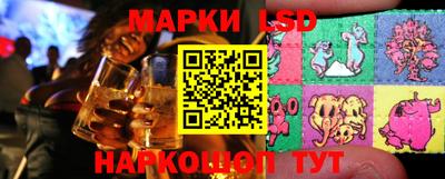 Альфа ПВП Кандалакша