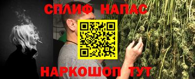 Альфа ПВП Кандалакша