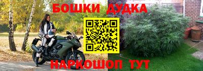 МДПВ Канаш