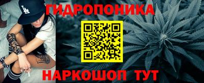 сатива Камышлов