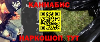 сатива Камышлов