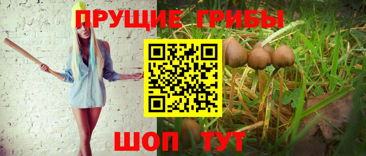 Лениногорск  Галлюциногенные грибы MAGIC MUSHROOMS  Вход с VPN  Галлюциногенные грибы ЛСД 